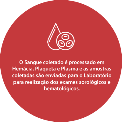 STS – Banco de Sangue, Hematologia Clínica e Laboratório